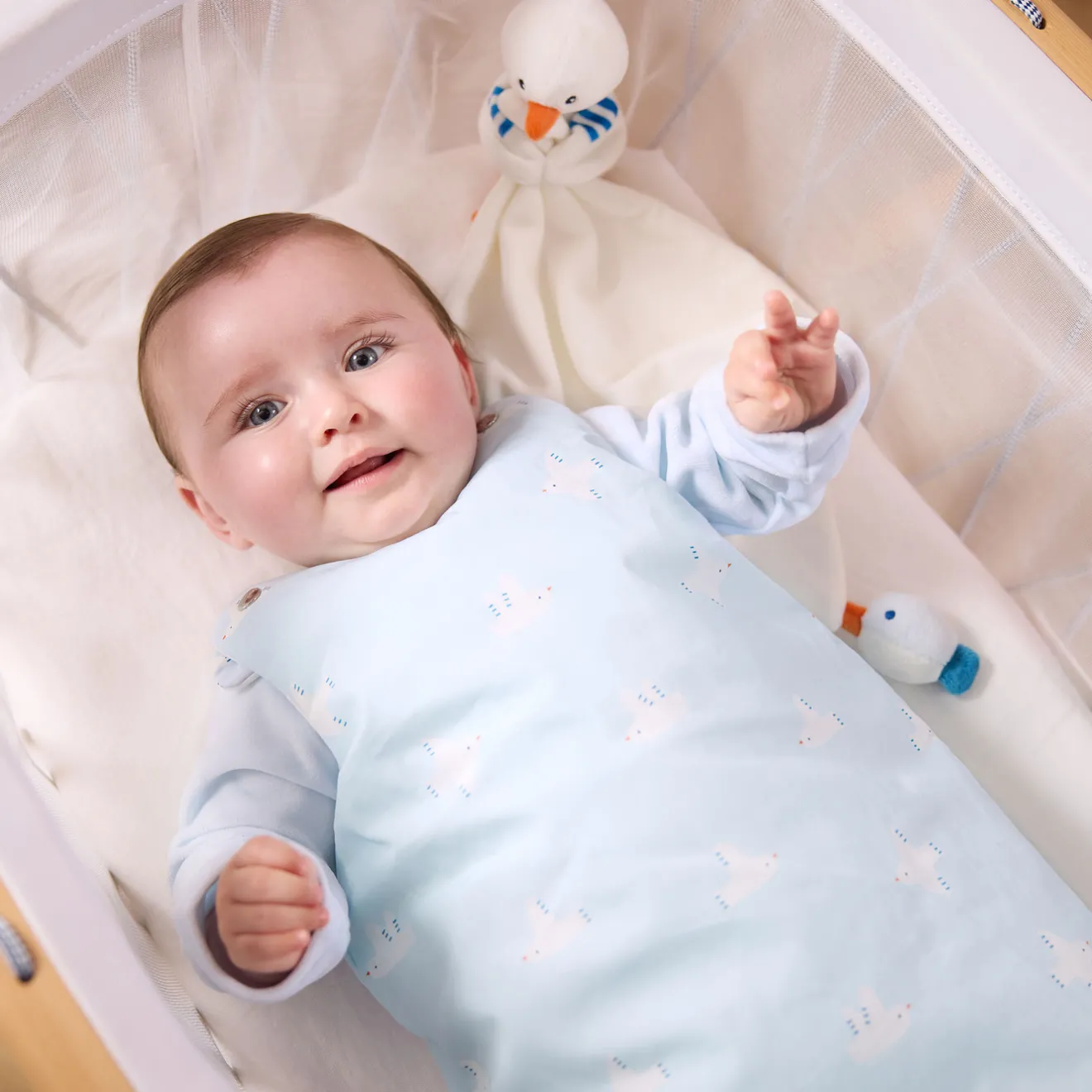 Gigoteuse, Couverture|Gigoteuses Et Couvertures-Jacadi Gigoteuse 0-6 mois - celeste CELESTE JACADI