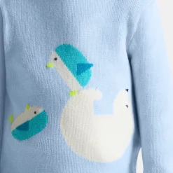Pull, Sweat Et Cardigan-Jacadi Pull bébé garçon Intarsia fantaisie - NUAGE