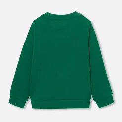 Pull, Sweat Et Cardigan-Jacadi Sweat enfant garçon - VERT FONCE